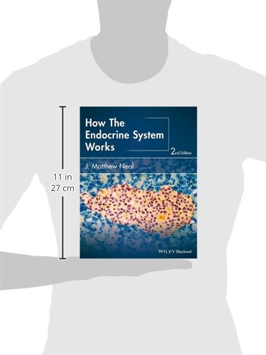 Wiley ILLUSTRATED How The Endocrine System Works  thumb #2