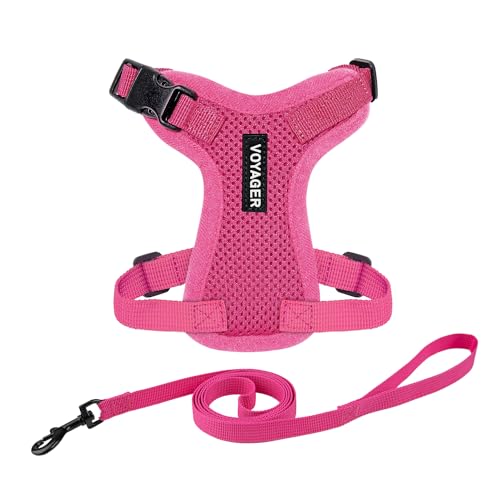 Image of Voyager Escape-Proof Step-in Lock Cat Harness & 5ft Neoprene-Handle Leash Set All-Weather Mesh with Reflective Stitching for Small to Large Cats by Best Pet Supplies, Fuchsia, S