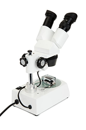 Celestron – Celestron Labs – Binocular Stereo Microscope – 20-60X Magnification – Upper And Lower Led Illumination – Includes 10 Prepared Slides #TOP3
