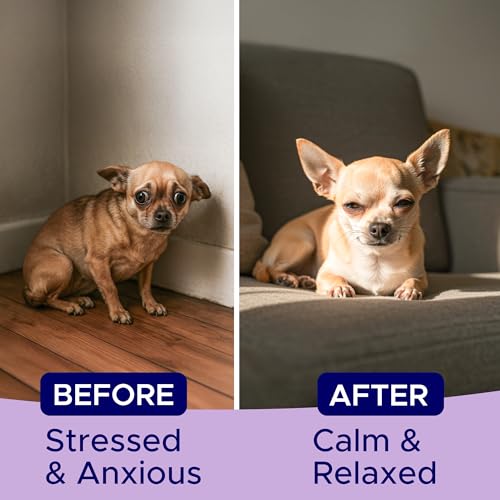 Image of Advanced Calming Chews for Dogs - Hemp Treat + Melatonin + Valerian - Relaxing Bites - Calming Care - Stress Relief - Made in USA - Calm, Sleep Aid, Storms - 60Ct