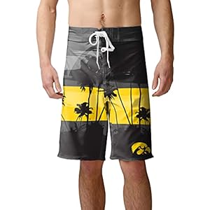 FOCO Iowa Hawkeyes NCAA Mens Sunset Boardshorts – L