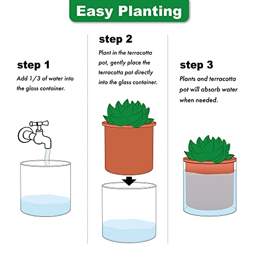 Phoenix Vine 4 Inch 6 Inch Self Watering Plants Pots, Design Terracotta Pots for Plants, Indoor Cylinder Terra Cotta Planter with Glass Vase Set, 51-A-G-46 by Phoenix Vine - Used condition - Image 6