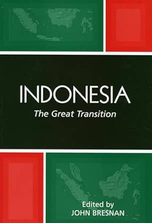 Indonesia: The Great Transition book cover