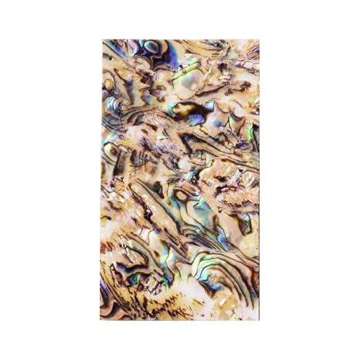 Illkjasfc Natural Abalones Conchas Laminadas Pegatinas 40x70mm para Artes Artesanías Joyería Hacer Scrapbooking Teléfono Caso Decoración del Hogar