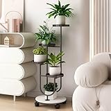 Supports de plantes d'extérieur en métal résistants aux intempéries for terrasse : conçus for résister aux éléments, ces supports de plantes d'extérieur en métal for terrasse sont parfaits for exposer des plantes par tous les temps. La construction en métal durable résiste à la rouille et à la corrosion, garantissant que vos plantes sont soutenues toute l'année sur votre terrasse, balcon ou jardin. Ce support polyvalent passe facilement d'une utilisation extérieure à une utilisation intérieure,