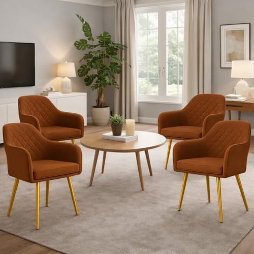 Image of Barfi Velvet Dining Chair | Set of 2 Premium Accent Chair with Armrest, Padded Seat and Metal Legs | Comfy Chair for Home, Office & Restaurents | (Light Brown Set of 4)