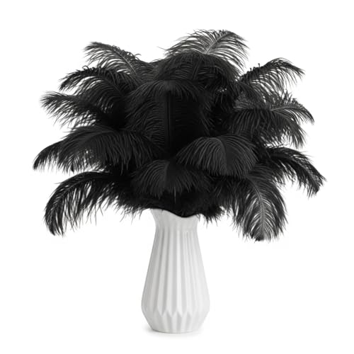 Lamar 20Pcs Black Ostrich Feathers 8-10 Bulk Feathers for Decoration Wedding Centerpieces Mothers Day Crafts Carnival Party Decor Floral Arrangement Bohemian Home Decor (Black)