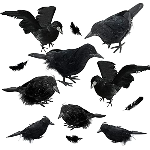 Faux Black Feathered Crows, Set of 8
