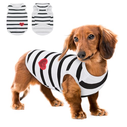 Queenmore Medium Dog Shirt,Soft Breathable Dog Shirt for Dogs Cats Boy Girl,Pet Clothes for All Season,Breathable Lightweight Pet Tshirt for Frenchie, Dachshund, Yorkie