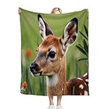 Fotmung Kuscheldecke Flauschig 180 x 200 Tier REH, Mikrofaser Plüsch Decke Tagesdecke Für Kinder Erwachsene, 3D Sofadecke Couchdecke Wohndecke Flanell TV Decken für Bett Sofa R169