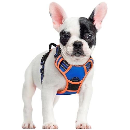 Image of rabbitgoo Dog Harness No Pull with 2 Leash Clips, Adjustable Soft Padded, Reflective Oxford No Choke Pet Vest with Easy Control Handle for Small Dogs, Blue & Orange, S