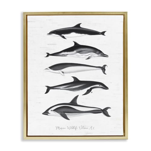 Orca Whales Diagram Grainy Pattern, 16 x 20 Inch Canvas in Floater Frame