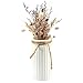 Produktbild I3C Weiße Keramikvase, Keramik Vase für Pampasgras, Ideal zur Lagerung von Trockenblumen & Frische BlumenModerne Heimdekoration für Weihnachten, Blumenvase, Mattes Design für Zuhause und Büro (C)