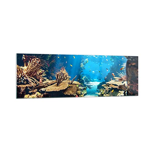 Vidrios decorativos 160x50cm Cuadro Sobre Vidrio Moderno Océano arrecife peces coral Grande XXL Cocina Cuadros Pared Impresiones Decoracion Salon Impresión en Cristal Wall Art Prints GAB160x50-2872