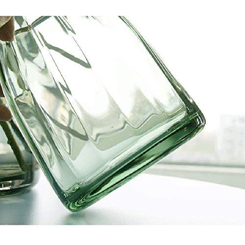 Senliart Clear Glass Vase, Gilded Decor Green Table Centerpiece Vase 7(H) X 5.5(W) #TOP3