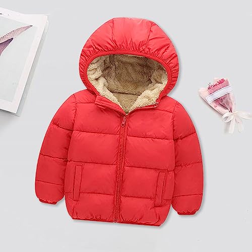 sfdgfhyf Girls and Toddler's Winter Coat Fleece Lined Hooded Quilted Bubble Puffer Jacket Kids Toddler Girls3