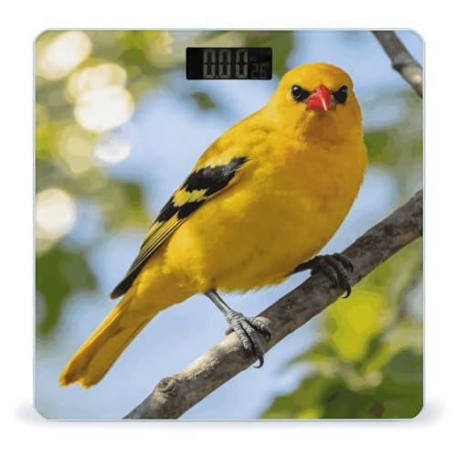 Báscula digital de baño Oriole de vidrio templado miniatura 1