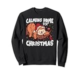 Christmas - Sloth
