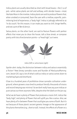 Weed Mom: The Canna-Curious Woman's Guide to Healthier Relaxation, Happier Parenting, and Chilling TF Out (Guides to Psychedelics & More) 41PmI+CBbQL. SL500 - Weed Mom: The Canna-Curious Woman's Guide to Healthier Relaxation, Happier Parenting, and Chilling TF Out (Guides to Psychedelics & More)
