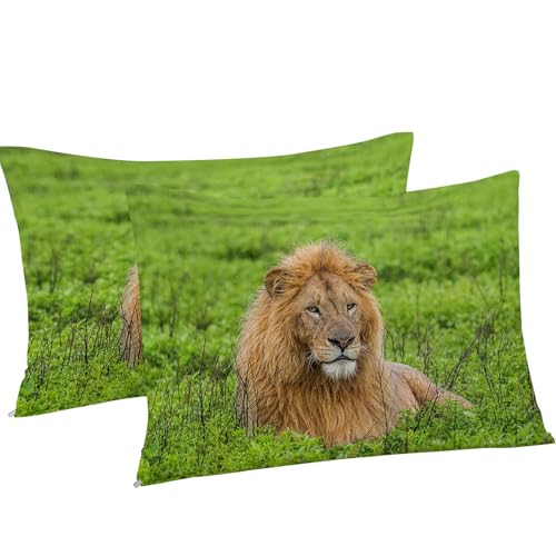 Housse de couette lion 240x260 anti-plis en microfibre douce avec zip robuste - 5