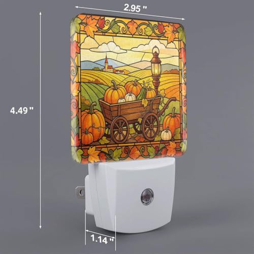 Image of Fall Pumpkin Vintage Farmhouse LED Plug-in Night Lamp Set of 2 for Bathroom