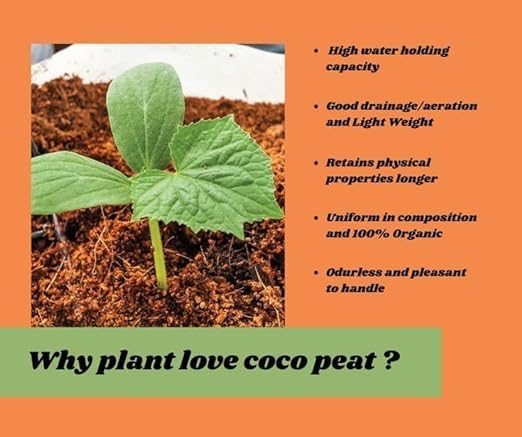 Image of Natural Coco Peat 500 gm Growing Organic Fertilizer and Soil Manure Potting Mixture for Home Gardening and Potted Plants