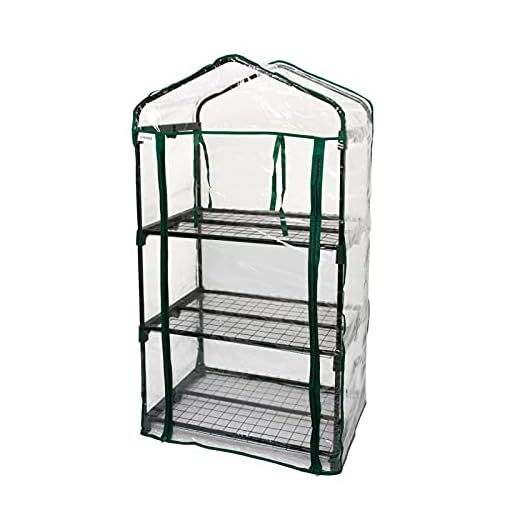 Grindi - Foliengewächshaus Canna 70x50x125 cm - Gewächshaus klein - Tomatengewächshaus - Treibhaus für Garten, Balkon und Terrasse - Gartenhaus - Growzelt - Growbox - Grow Zelt