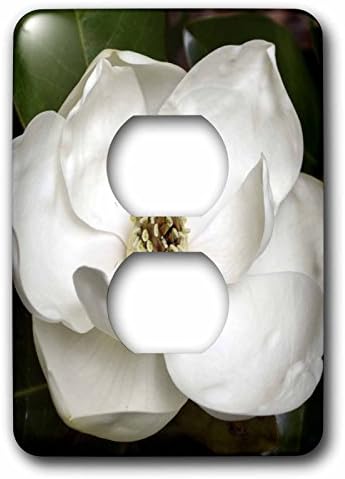 3dRose WhiteOak Photography Floral Prints - A Garden Magnolia Flower - 2 plug outlet cover (lsp_53630_6) image 3
