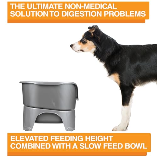 Neater Feeder - Express Model w/ Slow Feed Bowl - Mess-Proof Dog Bowls (M/L, Grey) Made in USA – Elevated, No Spill, Non-Tip, Non-Slip, Raised Stainless Steel Food/Water Pet Bowls Aid Digestion by Neater Feeder - Used condition - Image 7