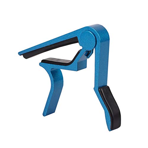 jo[TEJ|M^[ANZT[NvL[̃A~jE̋AR[XeBbNNVbNM^[J| (Color : Blue)