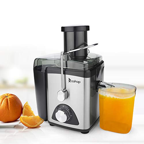 Centrifugal Juicer, Electric Juice Extractor, Easy Clean Juicer Machines with Wide Mouth, BPA-Free Stainless Steel Juice Machine with Juice Container, Blender for Fruit Vegetable, Black (Juicer 4)