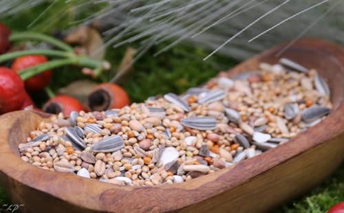 Großsittichfutter 10 kg Anhaltiner Premiumfutter
