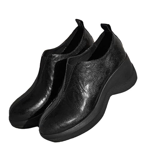 [LECMT]  [t@[ fB[X  vC C w wC ʊw t  ubN H ~ V[Y ؍ JK JWAV[Y r pvX ₷  o  ɂȂ   H 