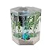 Tetra Bubbling LED Aquarium Kit 1 Gallon, Hexagon Shape, With Color-Changing Light Disc