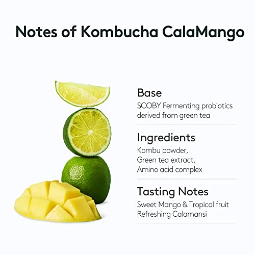 Osulloc Kombucha Tea Calamango (Calamansi & Mango Blending), Sparkling Powdered Mix Beverage, No Added Sugar, 10 Sticks, 1.76Oz #TOP3