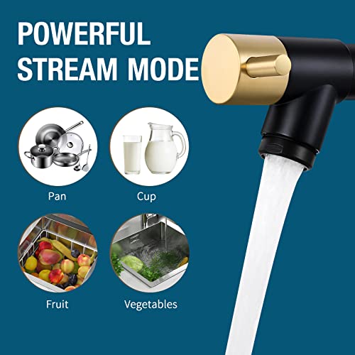 Commerical Kitchen Faucet With Pull Down Sprayer, Single Handle 2 Spout Stainless Steel Spring Kitchen Sink Faucet With Lock, Matte Black And Gold #TOP4