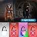 Dgmsuoot Rechargeable Dog Collar Light, 2 Pack Dog Lights for Night Walking Clip On, Waterproof Glow in The Dark Pet Camping Essentials with 4 LED Modes, Safety for Running, Cycling (Black)