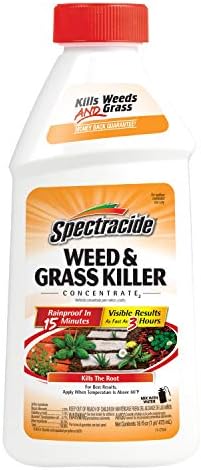 Spectracide Weed & Grass Killer Concentrate for Driveways & Walkways, 16 Oz