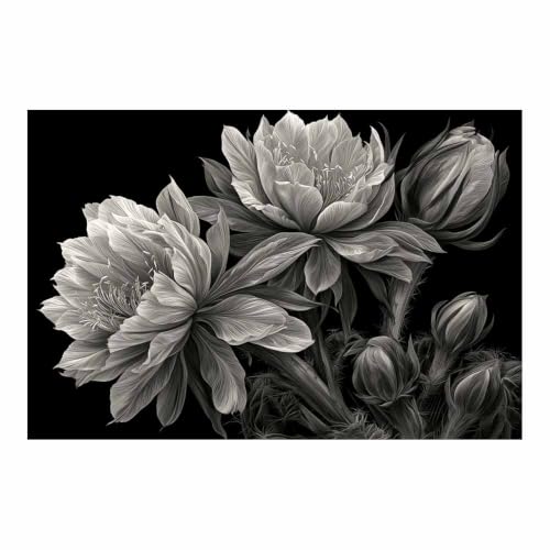 Toile fleurs de cactus blancs noirs HOQIU deco murale salon et chambre