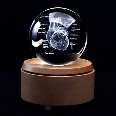 3D Human Heart with Labels Anatomical Model Paperweight(Laser Etched) in Crystal Glass Ball Science Gift (Included LED Base) Cover