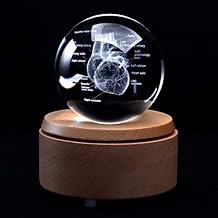 3D قلب الإنسان مع تسميات نموذج تشريحي PaperweightLaser محفورة في كريستال زجاج الكرة هدية العلوم وشملت قاعدة الصمام