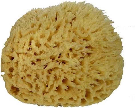 Spa Destinations Natural Sea Wool Sponge 6-7" Natural Renewable Resource