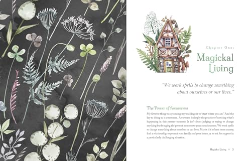 Image of The Witch's Apothecary: Seasons of the Witch: Learn how to make magical potions around the wheel of the year to improve your physical and spiritual well-being. (Sacred Apothecary Series)