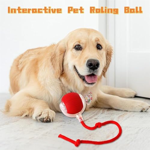 Image of Pet Intelligent Rolling, Interactive Cat Toys, Activity Rolling Ball for Dogs, Motion Activated Automatic Moving, Electric Cat Toy Ball Rechargeable for Large Small Dogs (Green)