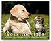 Cat Motivational Poster Art Print 11x14 Kitten Puppy Dog Labadore Toys Collar Wall Decor Pictures