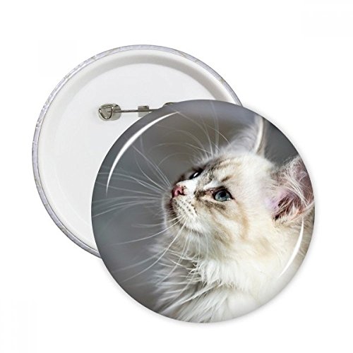 Badge chat mignon pour masquer un accroc : lot de pins ronds multicolores réparation vêtement L