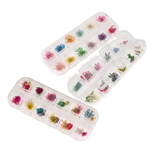 Flores secas naturales para manualidades DIY miniatura 1