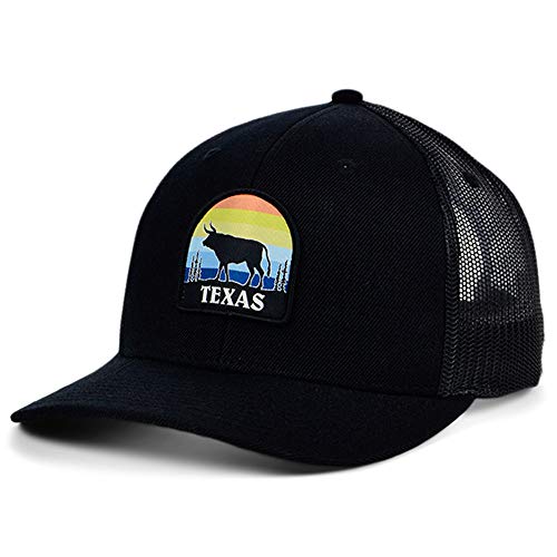 Local Crowns Texas State Patch Cap, Curved Adjustable Trucker Style Snapback Hat for Men and Women â€“ Black