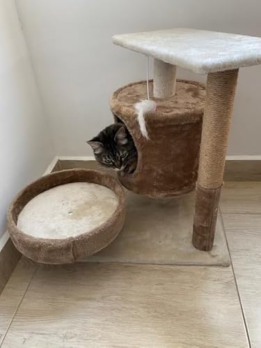 Arranhador e Brinquedos para Gatos