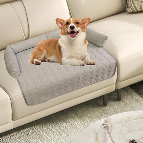 Tapis rafraîchissant pour chien réutilisable de qualité supérieure